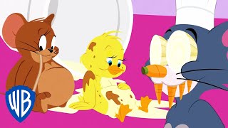 Tom amp Jerry  Food Adventures 🧀  WB Kids [upl. by Alahs]