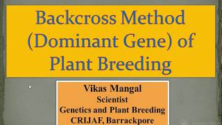 Backcross Method for Dominant Gene Transfer  Vikas Mangal Scientist ICAR  CRIJAF [upl. by Aikin]