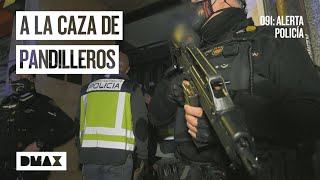 La policía busca a los miembros de dos bandas latinas enfrentadas  091 Alerta policía [upl. by Hersh]