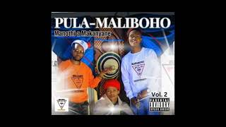 Makanyane Stuff Phumelela Official Audio [upl. by Gennifer]