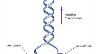 Rosalind Franklin biography in English born July 25 1920 Londonbiographyphysicschemistry [upl. by Avivah]