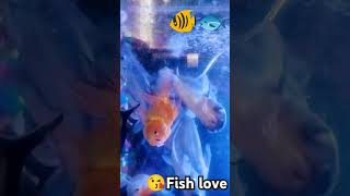 Fish love trending love viralvideo shortvideo song fish foryou trendingshorts popular [upl. by Coulombe102]