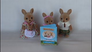 Sylvanian Families Hopper Kangaroo Family Part 2 [upl. by Katinka8]