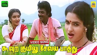 Koovura Kuyilu Sevala Paathu Video Song  Solaiyamma  Deva Music  SP Balasubramaniam  S Janaki [upl. by Houston]