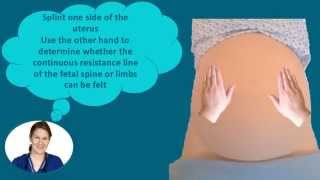 Abdominal Palpation Tutorial for Student Midwives [upl. by Chivers305]