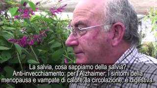 Fiori proibiti con Josep Pàmies sottotitoli in italiano [upl. by Arretnahs506]