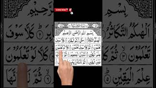 Surah takasur finger reaction quran [upl. by Madai]