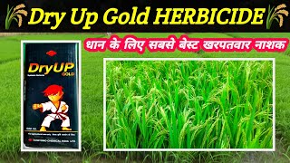 Dry Up Gold Herbicide  bispyribac sodium 10sc  Somitomo  Dry up gold price dose work result [upl. by Neeliak]