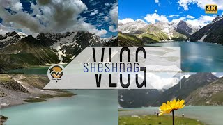 Sheshnag Lake  Amarnath Yatra  A beautiful day at Sheshnag lake  Pahalgam kashmir  Travel sphere [upl. by Ferd]