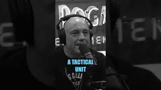 JOE ROGAN CARTELS IN THE US WOODS shorts [upl. by Aihsrop907]