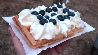 Whipped cream blueberry waffle [upl. by Nosnarb]