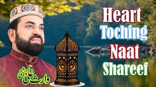 waris Ali Chishti  Heart Touching Naat  New Naat Shareef 2024  shortclip [upl. by Suh]