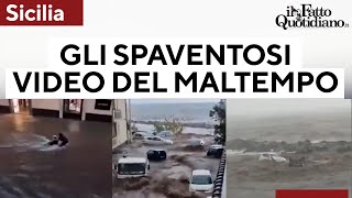 Gli spaventosi video del maltempo in Sicilia strade come fiumi allagamenti e auto trascinate [upl. by Hebert264]