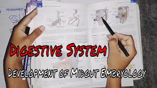 Digestive system Development of Midgut Embryology MBBS ONLINE LECTURES [upl. by Eleazar]