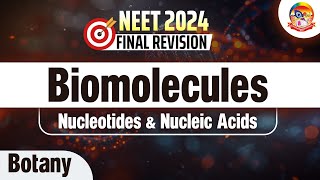 Biomolecules Nucleotides amp Nucleic Acids  NEET2024FinalRevision  srichaitanyagosala [upl. by Alakam515]