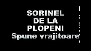 SORINEL DE LA PLOPENI SPUNE VRAJITOARE [upl. by Nebeur]