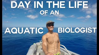 Day in the Life of An Aquatic Biologist UCSB [upl. by Verile]