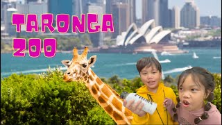 Taronga Sydney zoo [upl. by Leanna708]