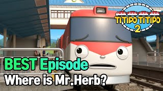 TITIPO S2  Where is MrHerb  BEST episode  EP12 [upl. by Post]