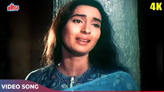 Lata Mangeshkar Ka Dardbhara Gaana  Aaja Re Pyar Pukare  Nutan Dharmendra  Dil Ne Phir Yaad Kiya [upl. by Griffith]