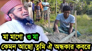 ও মা মাগো কেমন আছো তুমি ঐ অন্ধকার কবরে মুফতি ইলিয়াছুর রহমান জিহাদী ওয়াজ [upl. by Andrej]