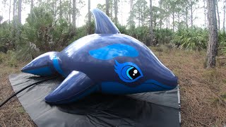 Blue Whale Balloon Made of Latex Rubber Inflation [upl. by Clite]