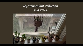 My Houseplants Collection  Fall 2024 [upl. by Okechuku]