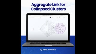 Aggregate Link for Collapsed Clusters on Tracker by Merkle Science [upl. by Ronoh]