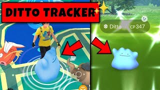 New Trick To Catch Shiny Ditto in Pokemon Go  Pokemon Go New Trick [upl. by Stalder187]