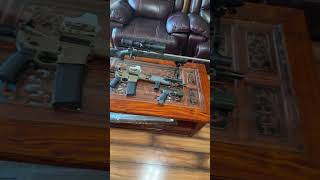 My SHTF Guns This is all I need [upl. by Og]