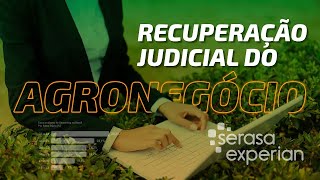 Recuperação Judicial Agro Serasa Experian [upl. by Aldarcy]