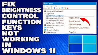 How To Fix Brightness Control Function Keys Not Working in Windows 1110 Solution [upl. by Ader296]