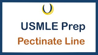 USMLE Prep Pectinate Line [upl. by Airitac]