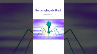 Bacteriophage microbiologyBacteriophagesytshorts youtube education viralvideo science facts [upl. by Solrac848]