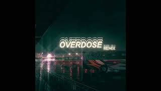 OVERDOSE Laika x TICA AFROSTYLE REMIX 2024 [upl. by Col289]