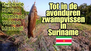 Tot in de avonduren hengelen op zwampvissen suriname [upl. by Greenleaf]