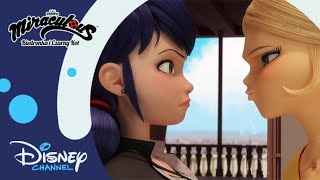 😲 Złodziejka  Miraculous Biedronka i Czarny Kot  Disney Channel Polska [upl. by Nalod590]