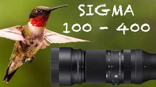 SIGMA 100  400 SONY E MOUNT IN 2023  Review [upl. by Euqnimod]