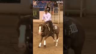 reining edit horses horserider lovehorses [upl. by Ecirtram]