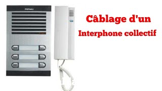 comment câbler un interphone collectif d un immeuble [upl. by Chicky]