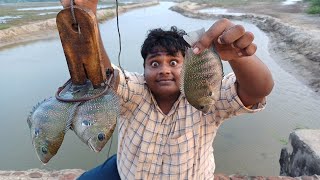 எலி கிட்டி வச்சு மீன் பிடித்து மீன் Burger செய்யலாம்Fish Hunting with Rat Trap [upl. by Ainesell]