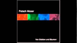 Petsch Moser  Schön Lied für David Bowie [upl. by Nylazor]