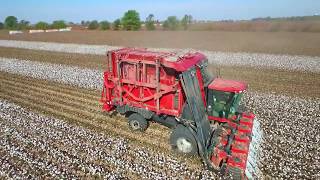 southeast missouri 2016 cotton harvest [upl. by Mame993]