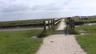 Mit dem Rad rund um Schiermonnikoog [upl. by Cosmo]