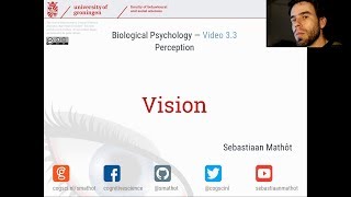 Vision  Biological Psychology 33 [upl. by Phio304]