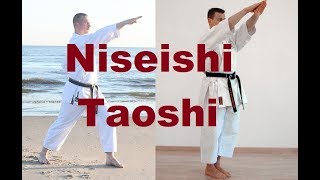 Niseishi Takedowns [upl. by Ailegnave448]