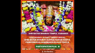 Participate in Batuk Bhairav Aapda haran yagya in batuk Bhairav Temple Kashi on Kaal Bhairav Jayanti [upl. by Stultz]