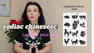 Zodiac Chinezesc  Legături care se formează între zodii  Consultant Georgiana Valentina Enculescu [upl. by Schmitt991]