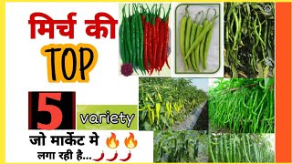 🌶Mirch ki kheti  TOP5️⃣ hybrid chilly seeds Variety  🌱मिर्च की उन्नत किस्में  chilli farming [upl. by Ahsinawt705]