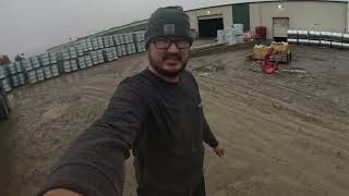 Central Oregon Flatbed Trucking 160 Unloading in the mud Strapping and tarping in the rain [upl. by Bekki]